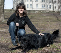 Dog training - private lessons